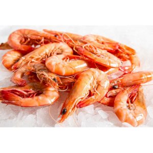 Prawns
